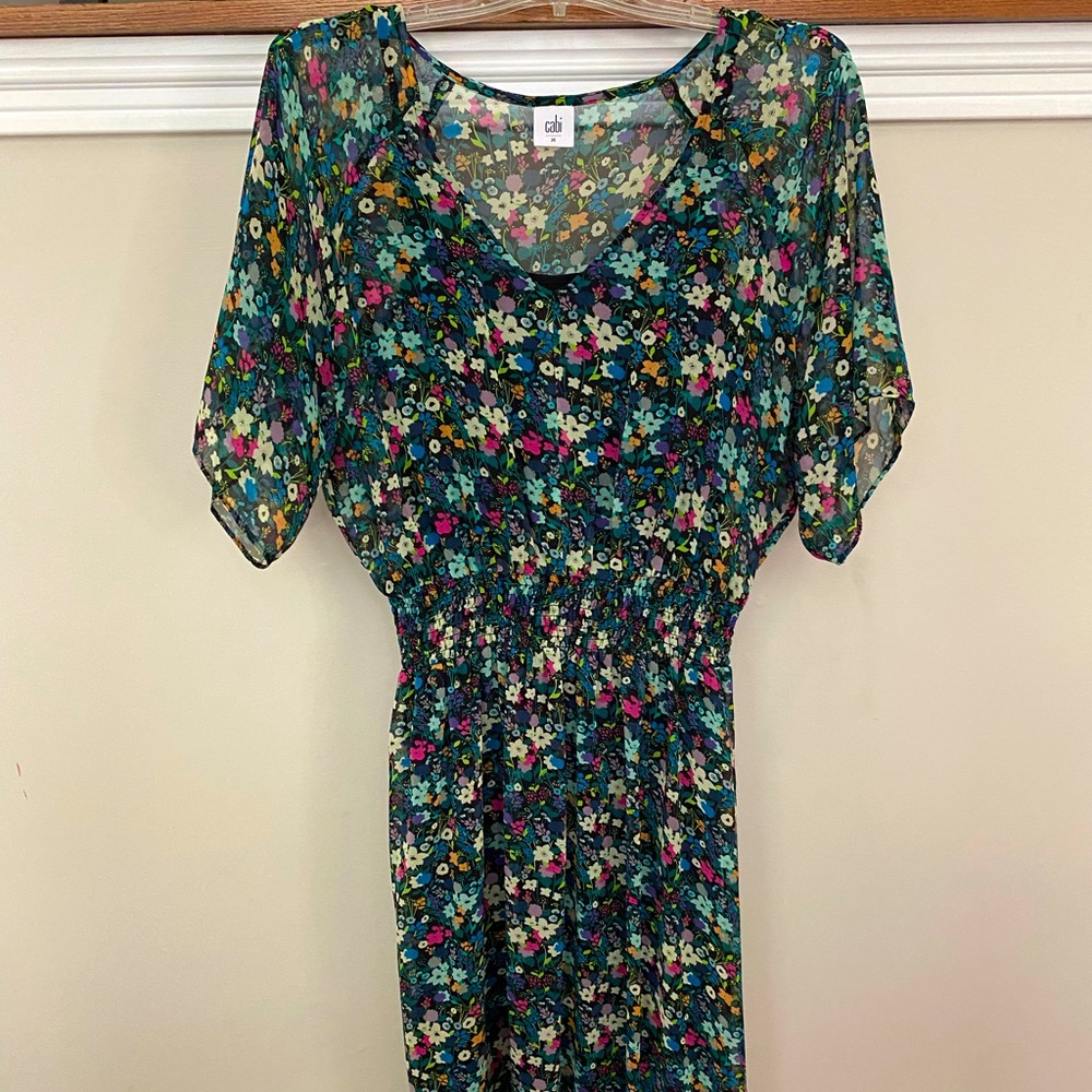 CAbi floral dress with slip